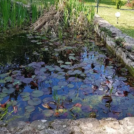 Gîte La Pequelette Saint-Ambroix Extérieur photo